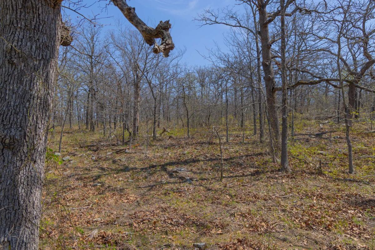 Decorative background for JLH Estates Tract 12 image 6