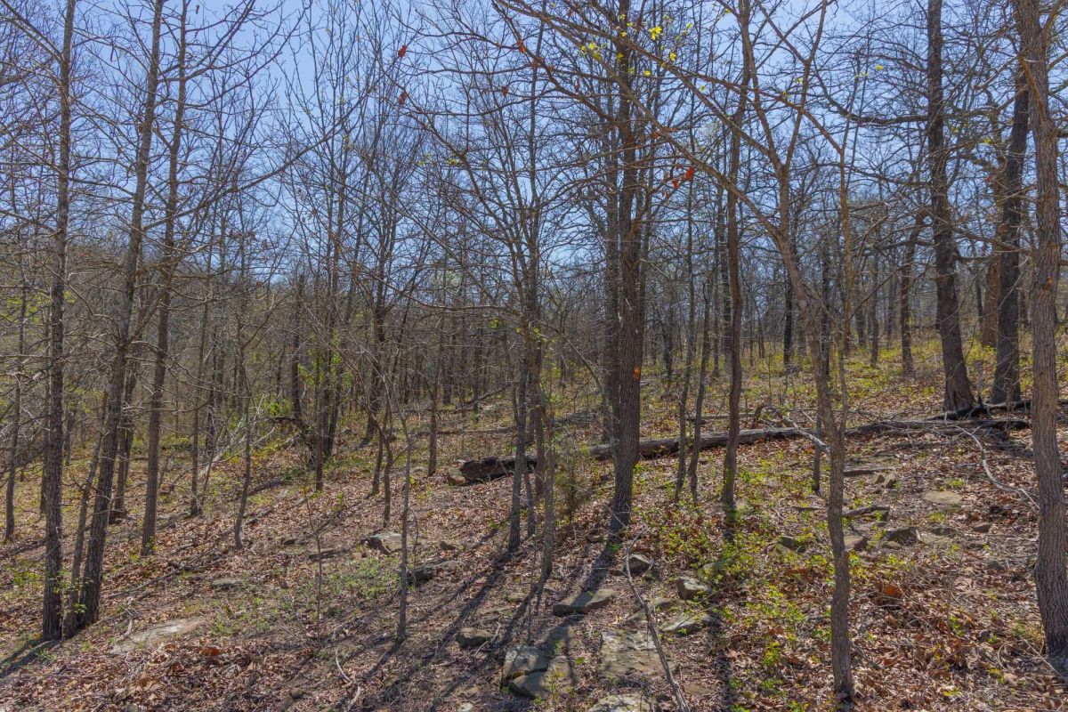 Decorative background for JLH Estates Tract 12 image 7