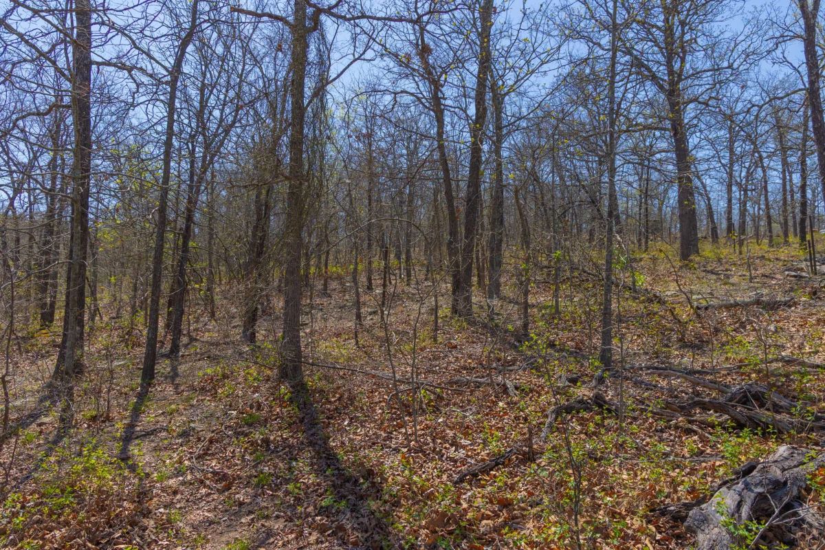 Decorative background for JLH Estates Tract 12 image 9