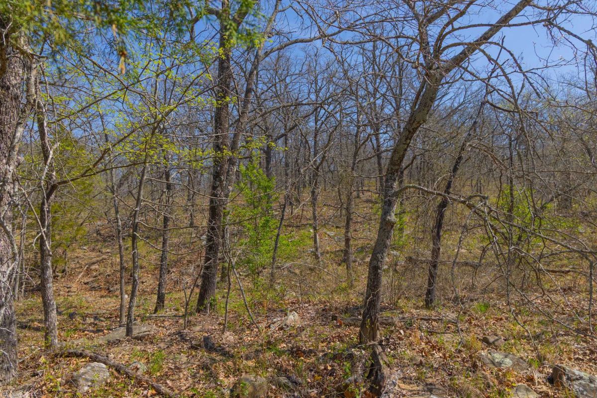 Decorative background for JLH Estates Tract 12 image 10
