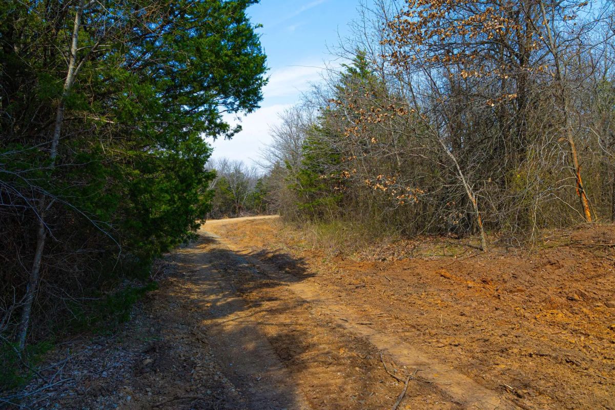 Reserves At Cattail Cove Phase I Tract 24 - Image 2