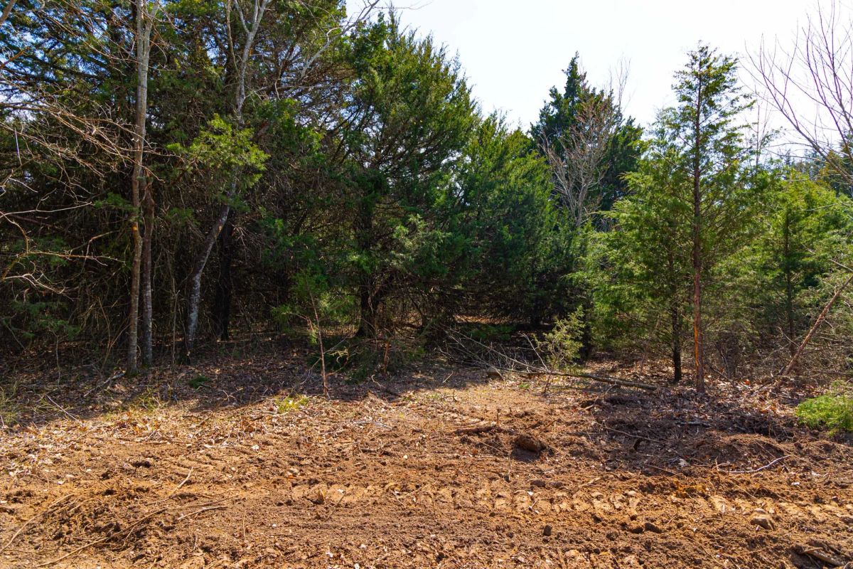 Decorative background for Reserves At Cattail Cove Phase I Tract 24 image 5