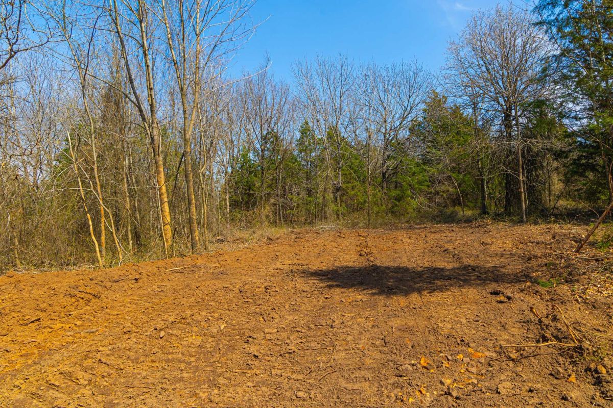 Decorative background for Reserves At Cattail Cove Phase I Tract 24 image 6