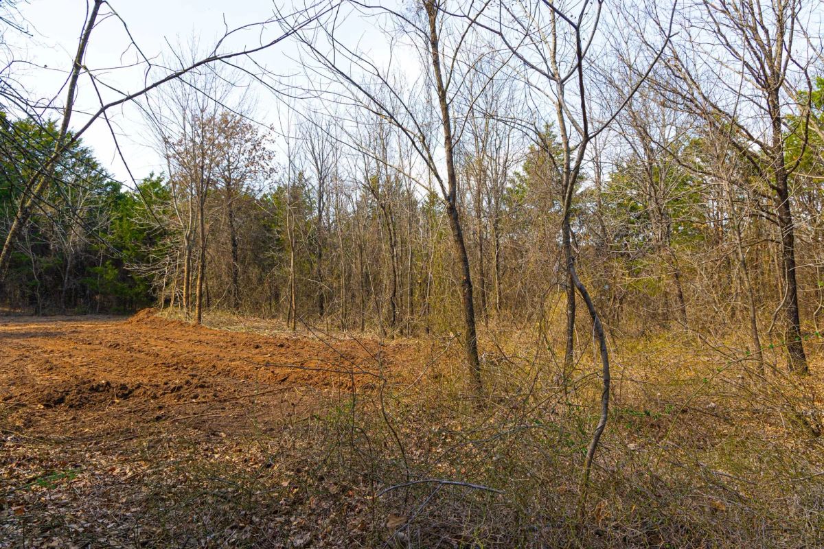 Decorative background for Reserves At Cattail Cove Phase I Tract 24 image 7