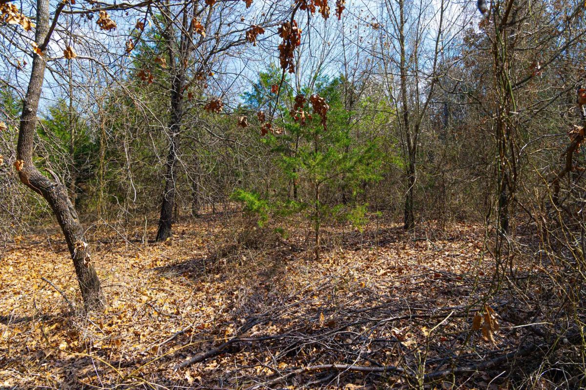 Decorative background for Reserves At Cattail Cove Phase I Tract 24 image 8