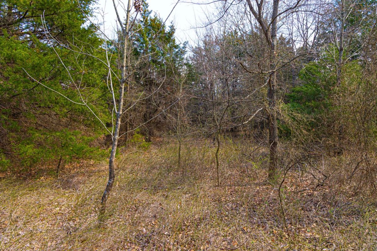 Decorative background for Reserves At Cattail Cove Phase I Tract 24 image 9