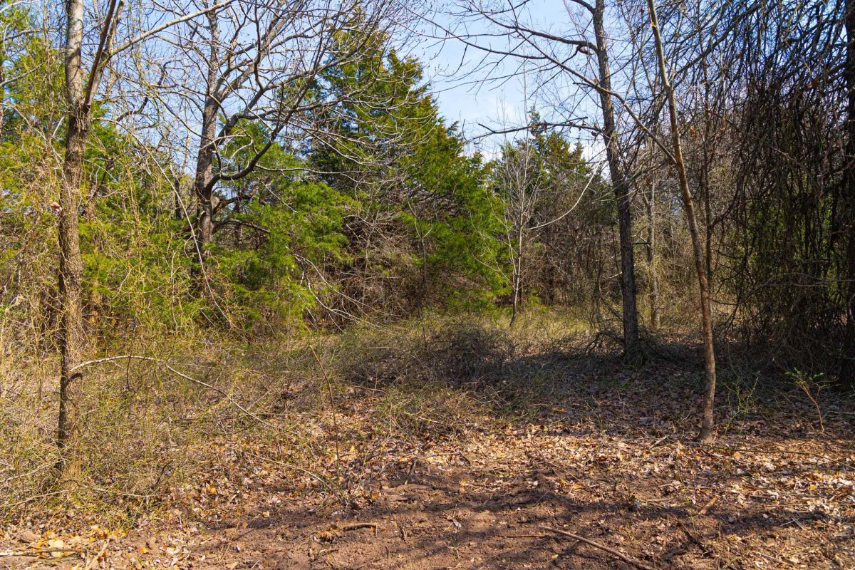 Decorative background for Reserves At Cattail Cove Phase I Tract 24 image 10