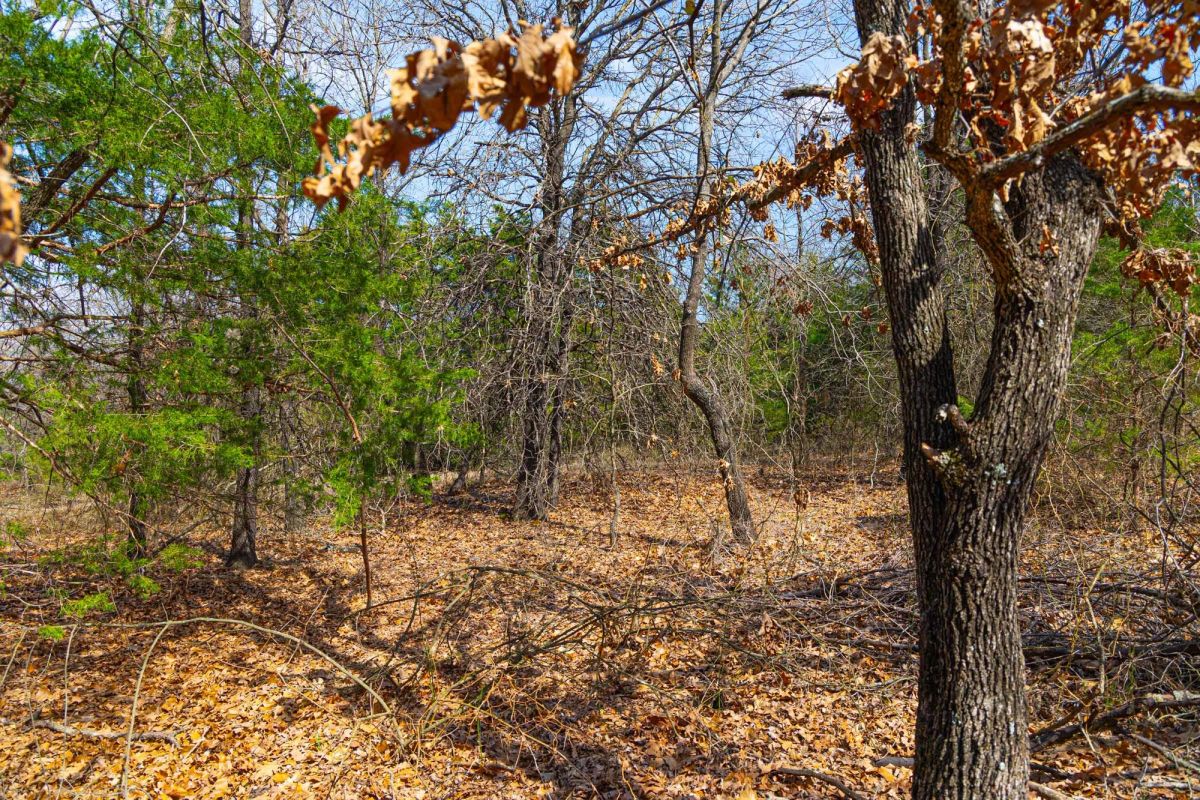 Decorative background for Reserves At Cattail Cove Phase I Tract 24 image 12