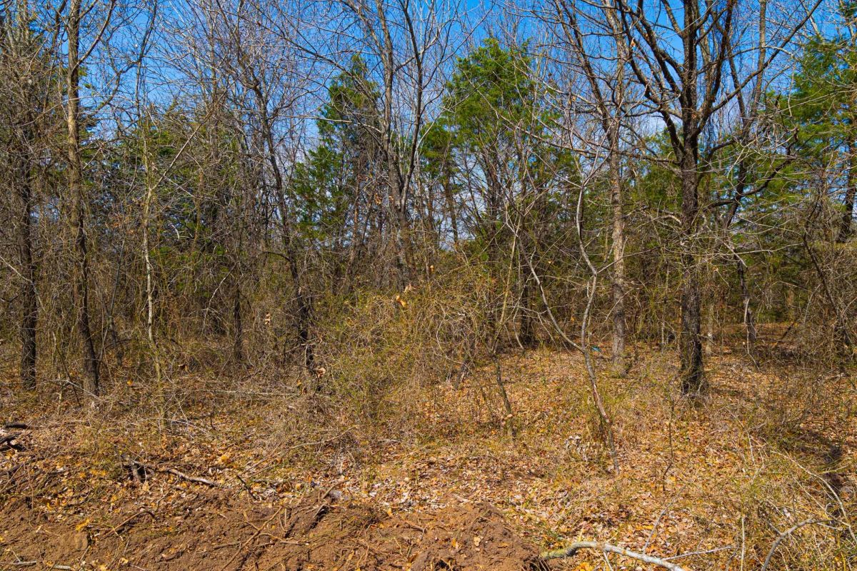 Decorative background for Reserves At Cattail Cove Phase I Tract 24 image 13