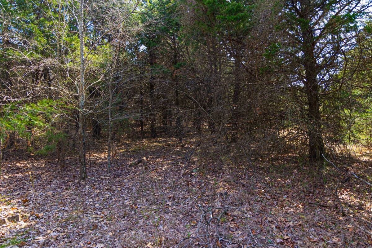 Decorative background for Reserves At Cattail Cove Phase I Tract 24 image 15