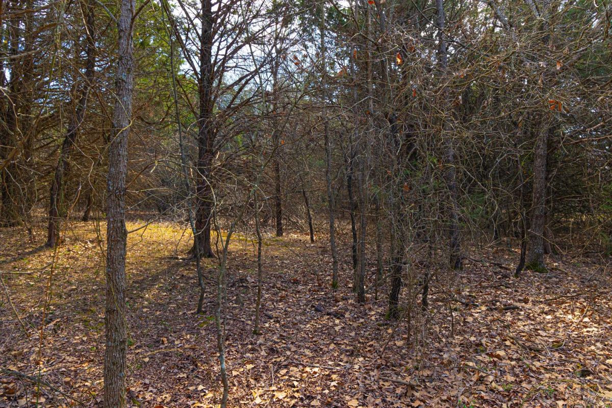 Decorative background for Reserves At Cattail Cove Phase I Tract 24 image 16