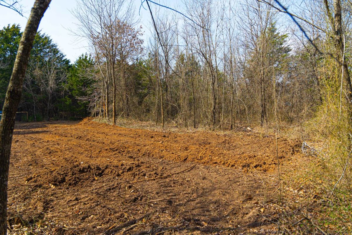 Decorative background for Reserves At Cattail Cove Phase I Tract 24 image 18