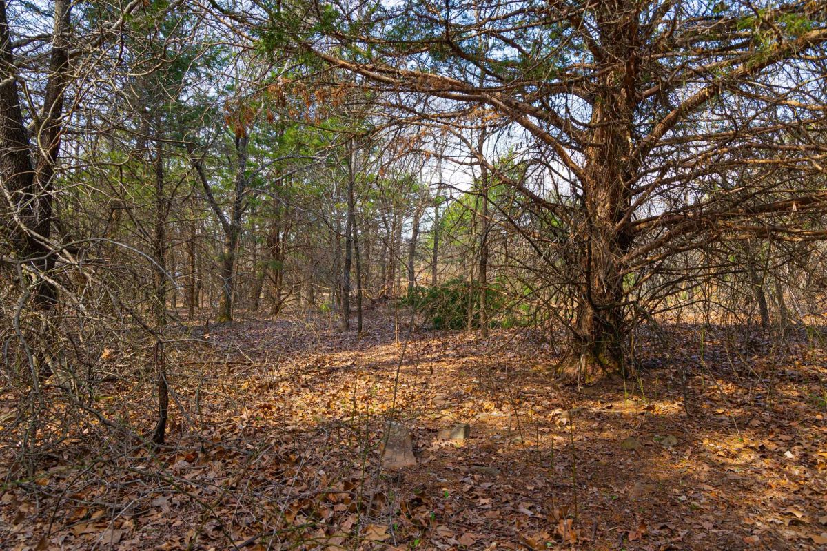 Decorative background for Reserves At Cattail Cove Phase I Tract 24 image 19