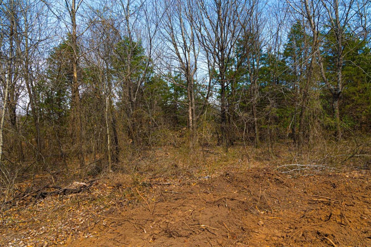 Decorative background for Reserves At Cattail Cove Phase I Tract 24 image 20