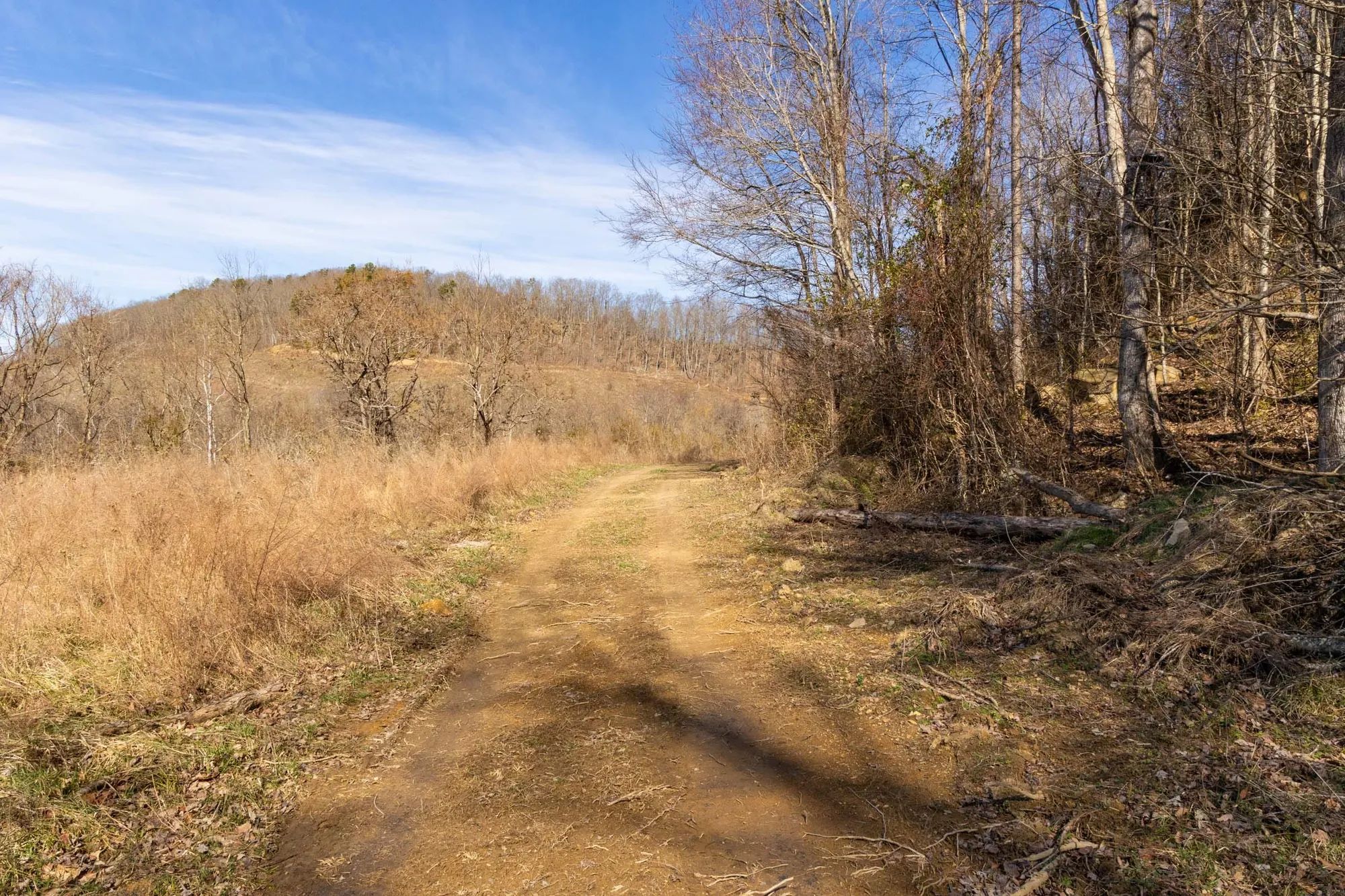 Jade Pass Tract 42 in Whitley County, KY