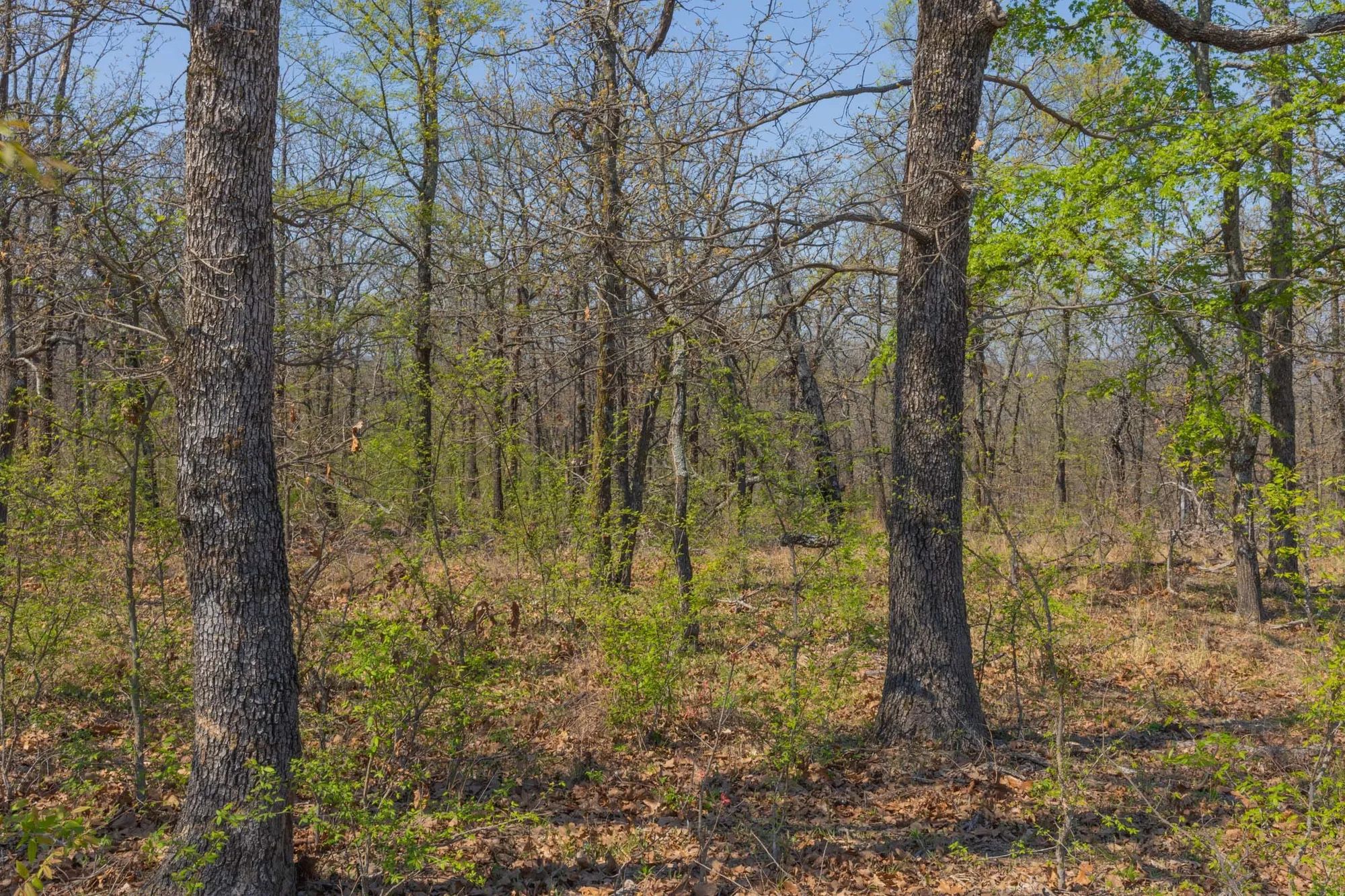 JLH Estates Tract 17 in Okfuskee County, OK