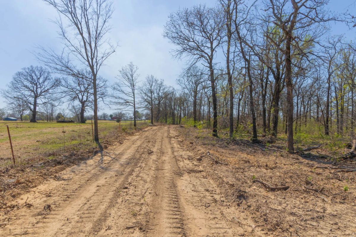 Decorative background for JLH Estates Tract 17 image 6