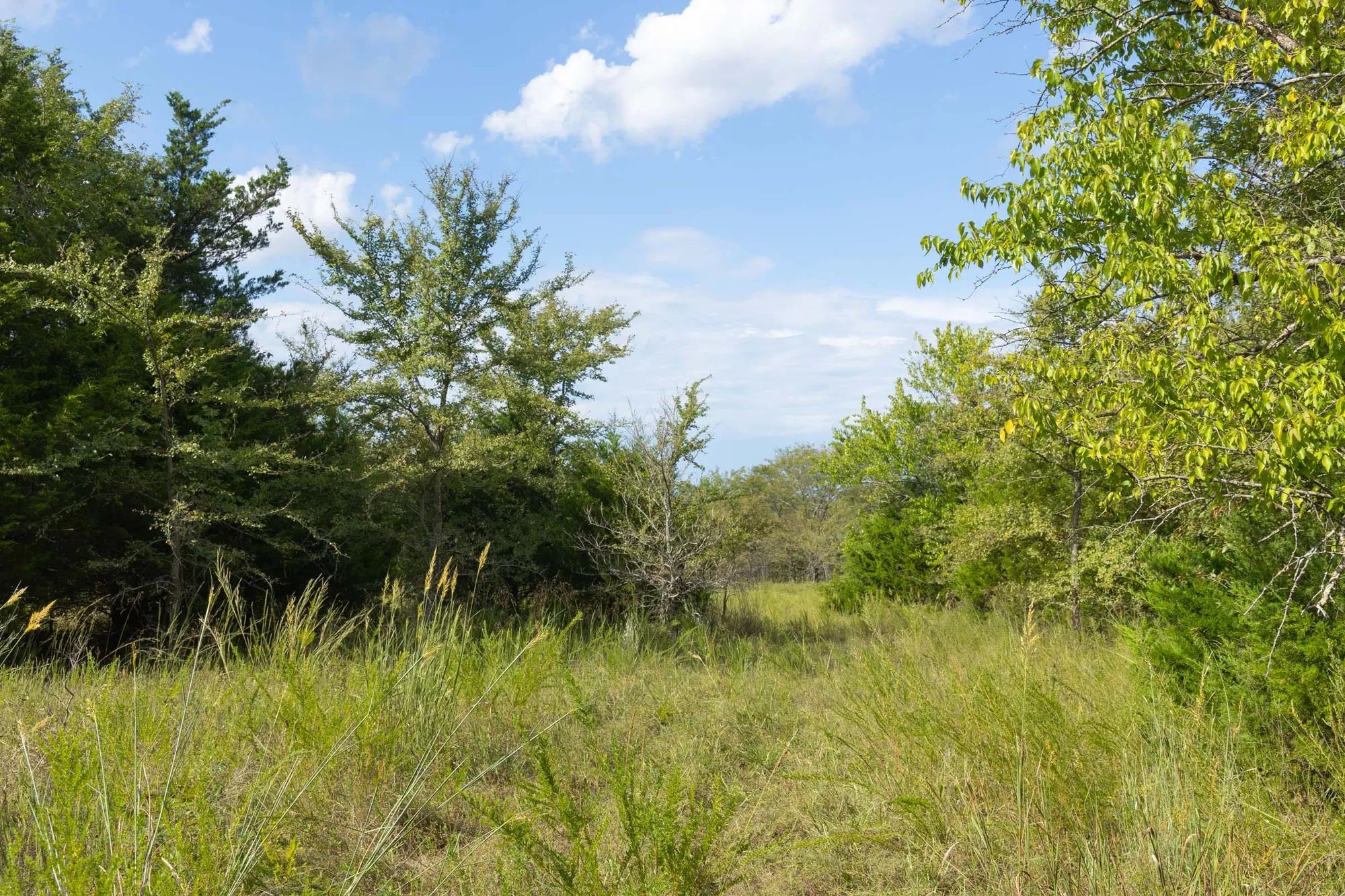 Reserves At Cattail Cove Phase II Tract 77 in Pittsburg County, OK