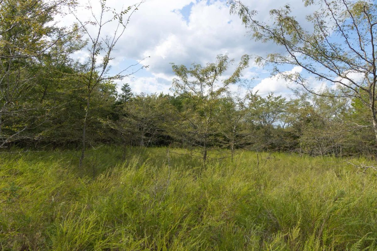 Reserves At Cattail Cove Phase II Tract 77 - Image 4