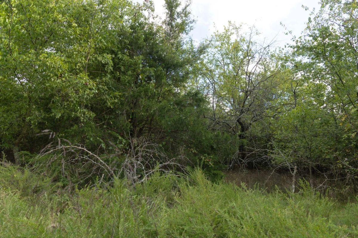 Decorative background for Reserves At Cattail Cove Phase II Tract 77 image 7