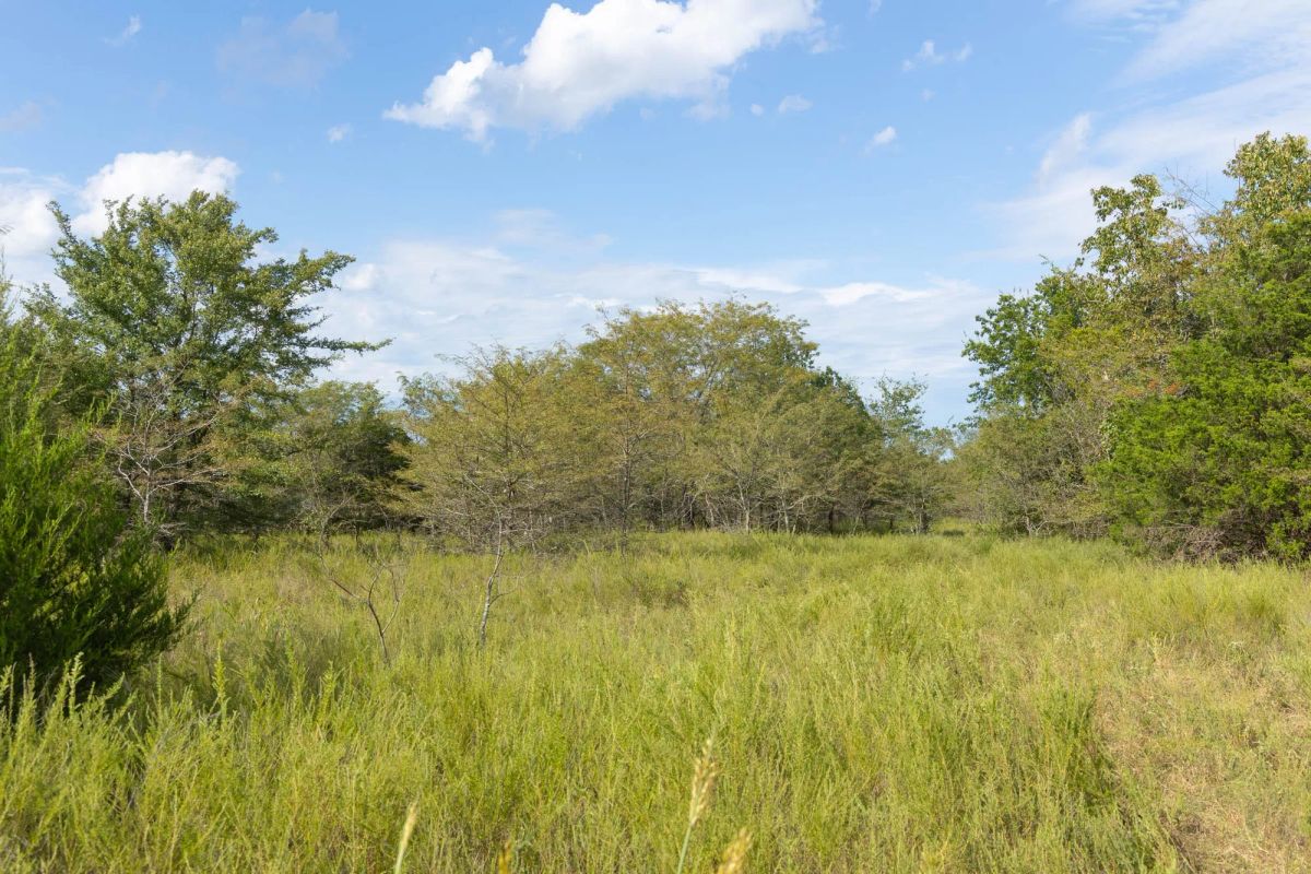 Decorative background for Reserves At Cattail Cove Phase II Tract 77 image 10