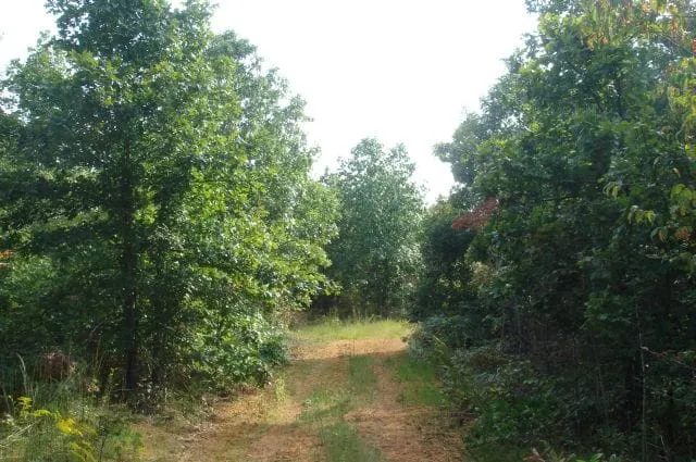 Sugartree Falls Tract 10 in Wayne County, TN