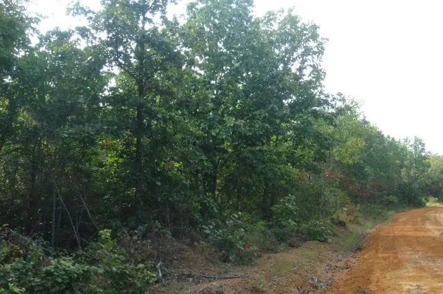 Sugartree Falls Tract 10 in Wayne County, TN