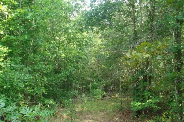 Sugartree Falls Tract 10 in Wayne County, TN