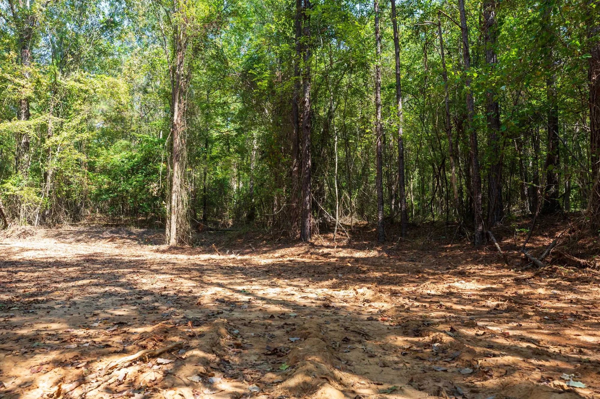 Willow Grove Tract 14 in Lamar County, AL