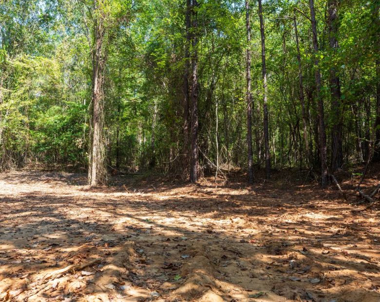 Willow Grove Tract 14 in Lamar County, AL