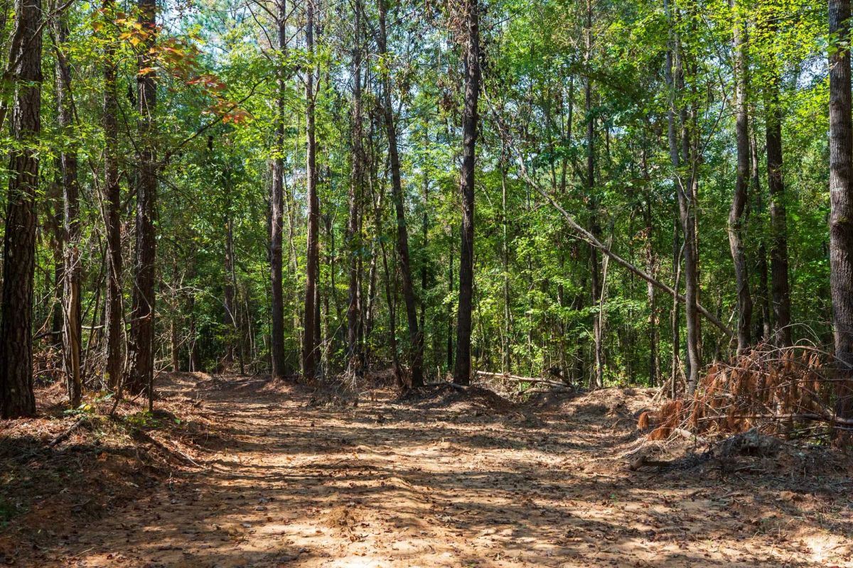 Willow Grove Tract 14 - Image 4