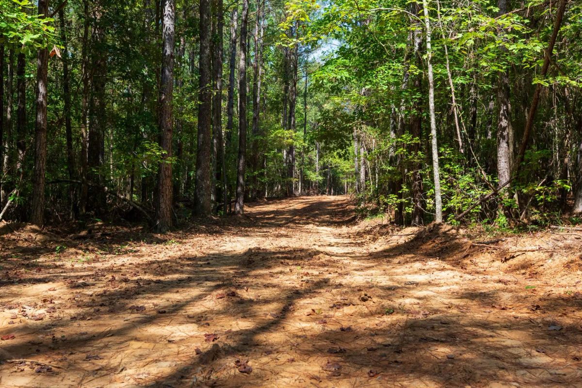 Decorative background for Willow Grove Tract 14 image 8