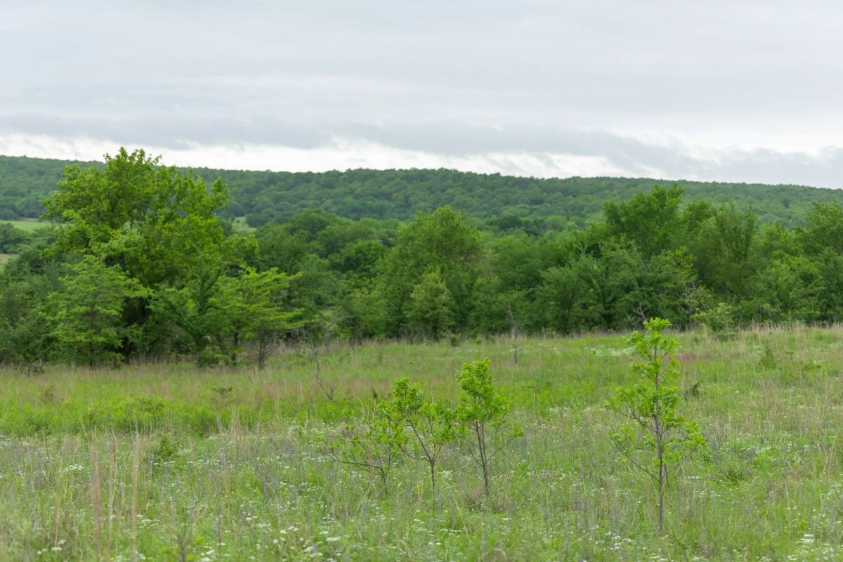 Harmony Hills Tract 3 - Main image