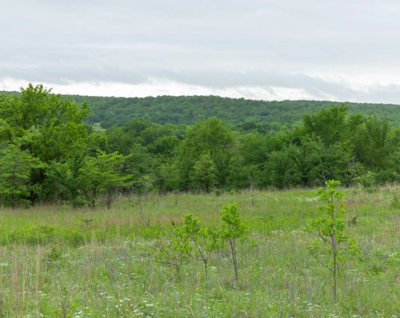Harmony Hills Tract 3 in Pittsburg County, OK
