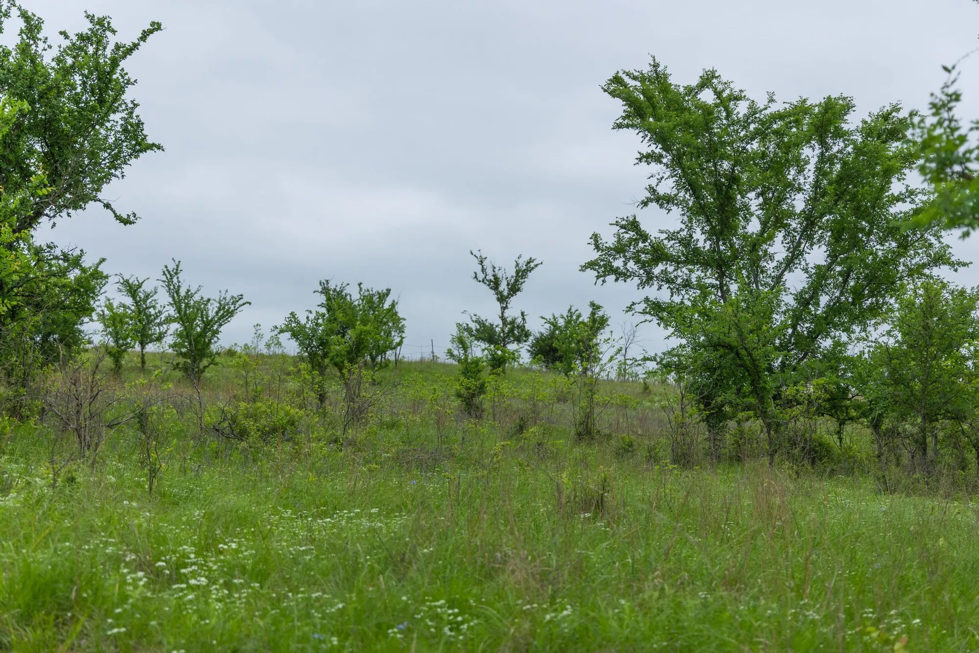 Harmony Hills Tract 3 in Pittsburg County, OK