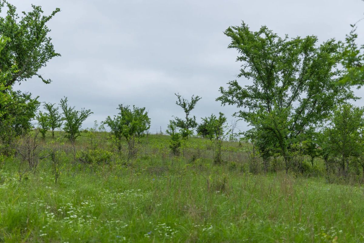 Harmony Hills Tract 3 - Image 3