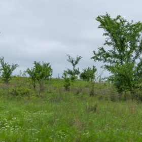 Harmony Hills Tract 3 in Pittsburg County, OK