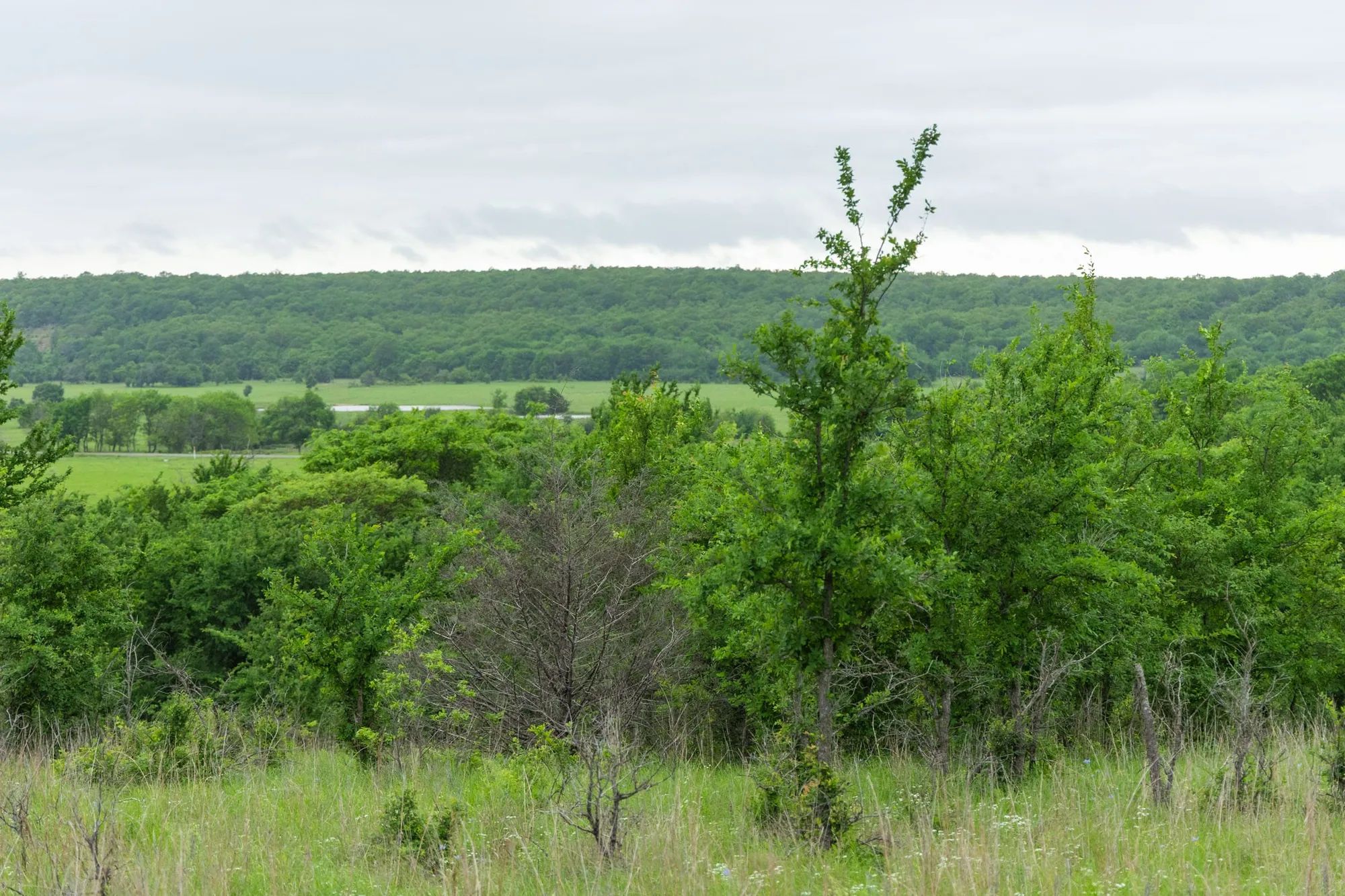 Harmony Hills Tract 3 in Pittsburg County, OK