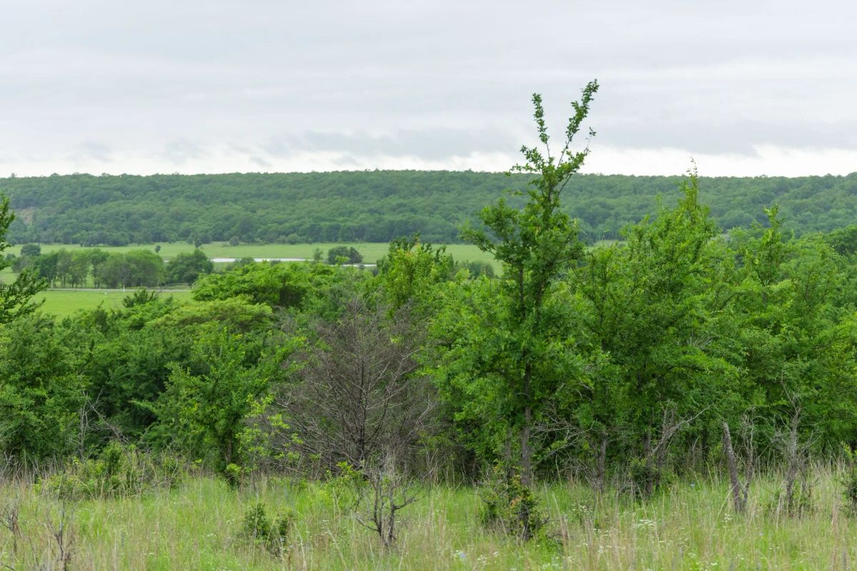 Harmony Hills Tract 3 - Image 4