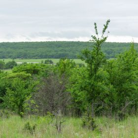 Harmony Hills Tract 3 in Pittsburg County, OK