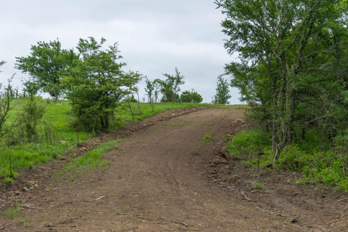 Decorative background for Harmony Hills Tract 3 image 6