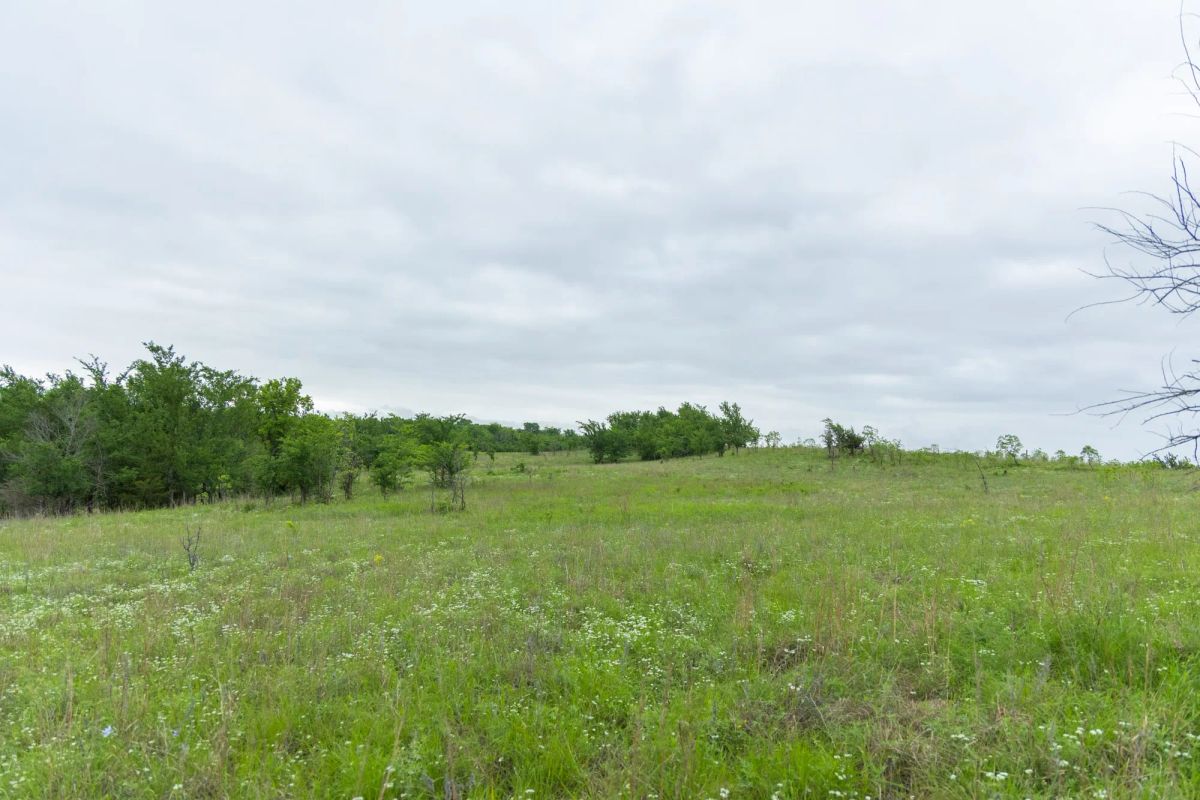 Decorative background for Harmony Hills Tract 3 image 7