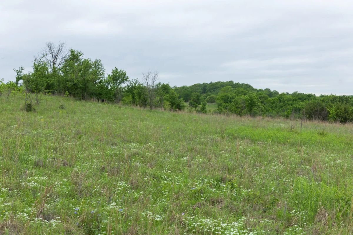 Decorative background for Harmony Hills Tract 3 image 8