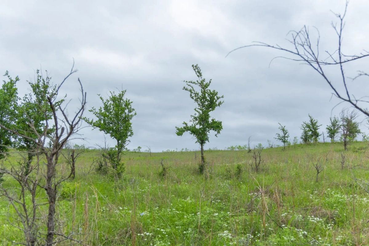 Decorative background for Harmony Hills Tract 3 image 10