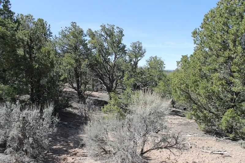 Sangre de Cristo Ranches Tract 4691 in Costilla County, CO