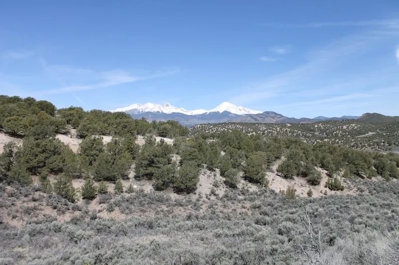 Decorative background for Sangre de Cristo Ranches Tract 4691 image 12