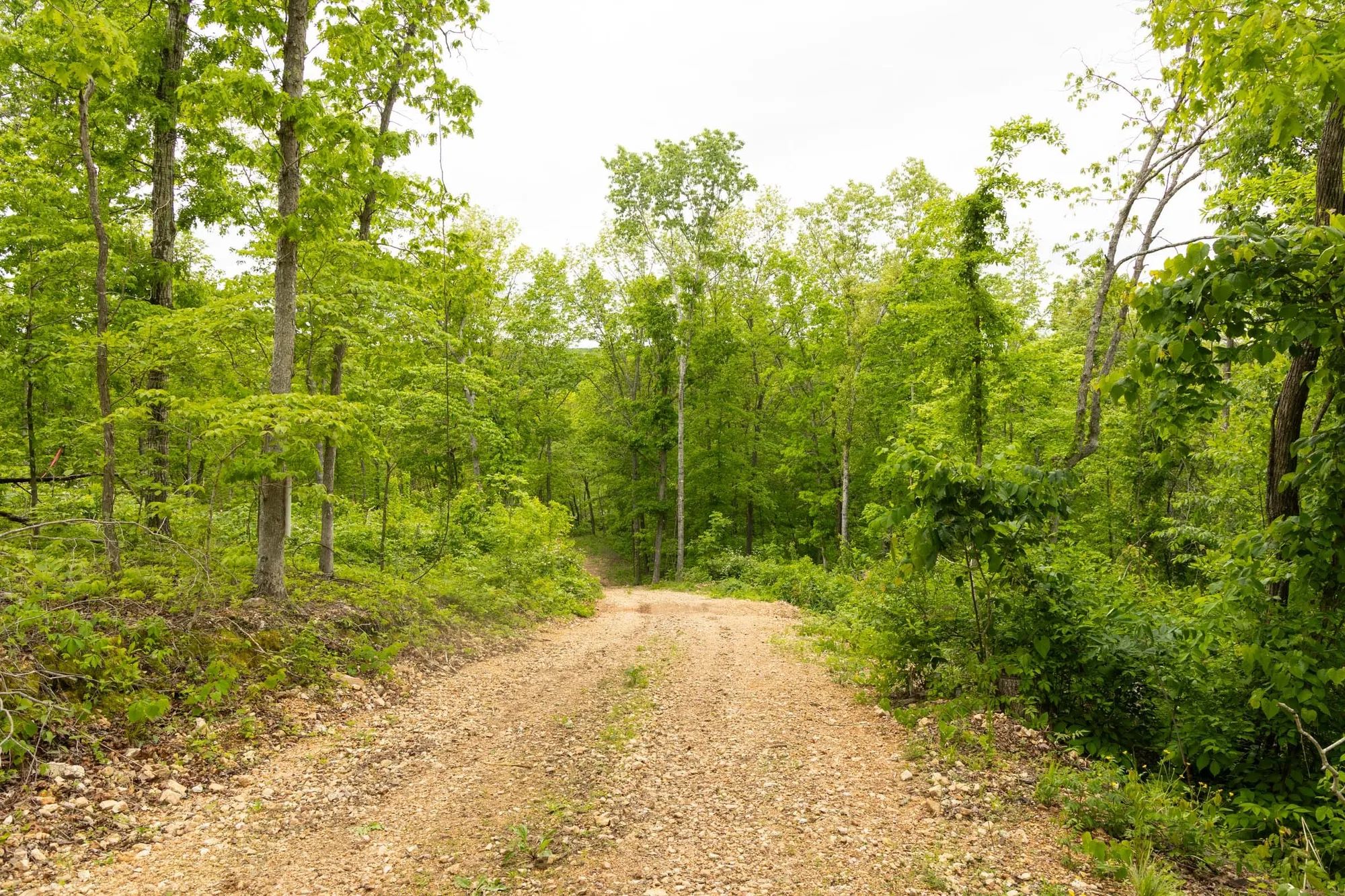 Stardust Estates Tract 31 in Reynolds County, MO