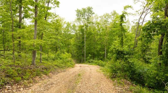 Stardust Estates Tract 31 in Reynolds County, MO