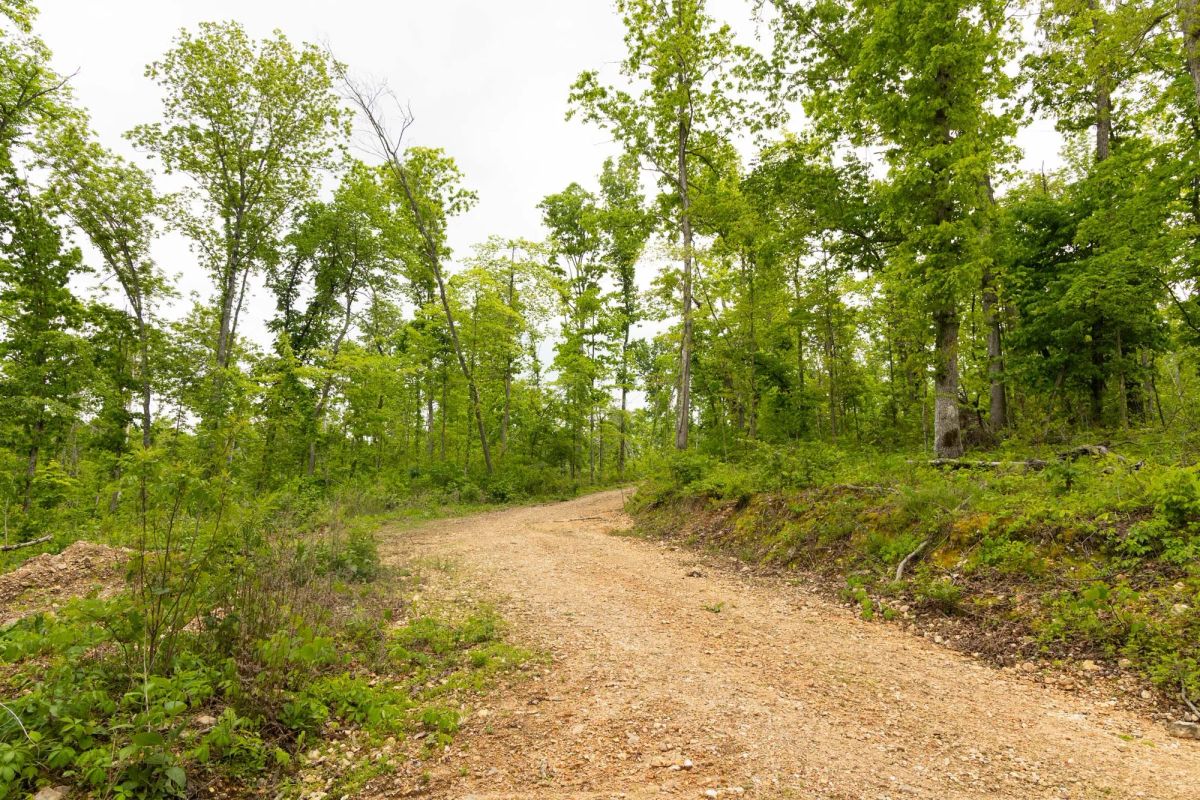 Decorative background for Stardust Estates Tract 31 image 7