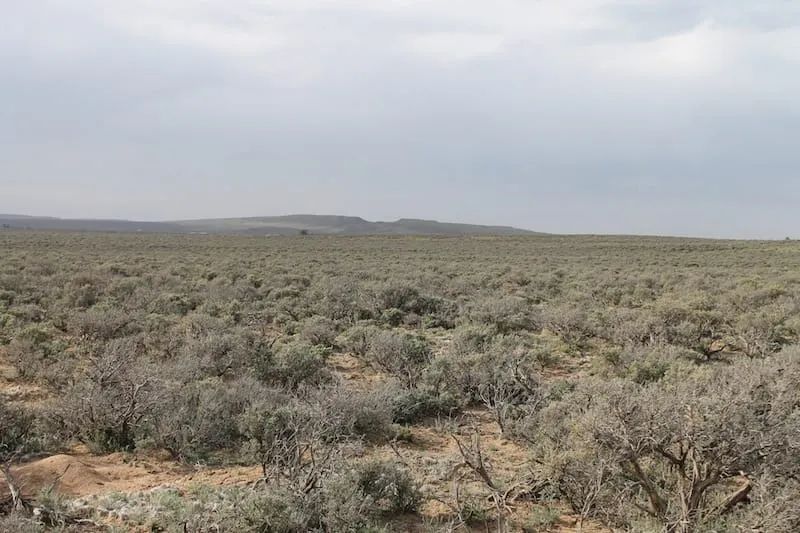 San Luis Valley Ranches Tract 8 in Costilla County, CO
